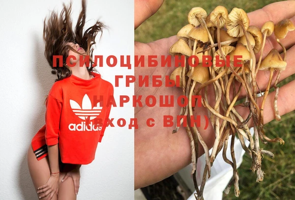 прущий лед Алексеевка