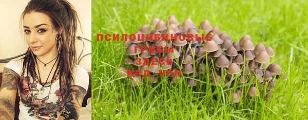 2c-b Алексин
