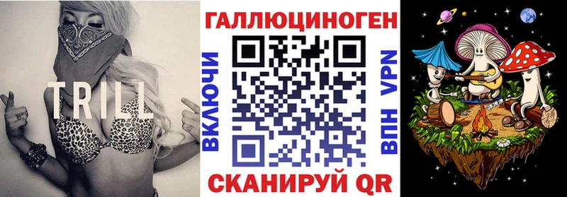 цены   Жирновск  блэк спрут ТОР  Псилоцибиновые грибы Cubensis 